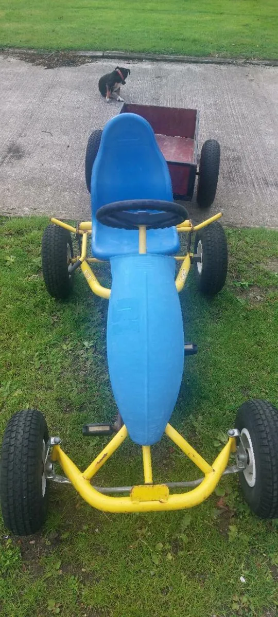 Berg Kart and Trailer - Image 1