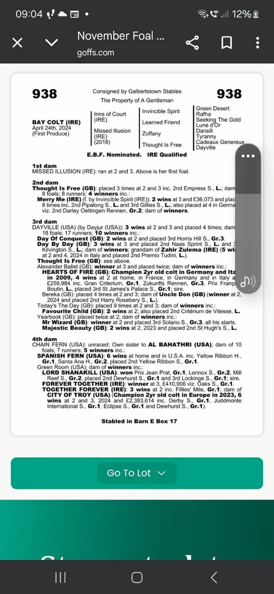 Thoroughbred yearlings - Image 1