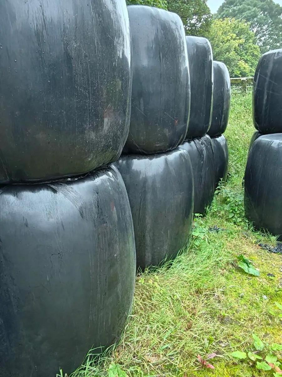 Horse Haylage - Image 1