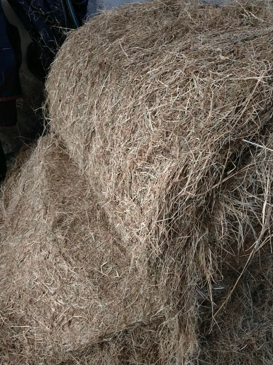 Horse Haylage - Image 2