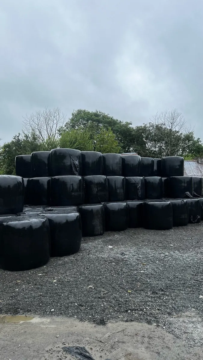Haylage / Silage - Image 1