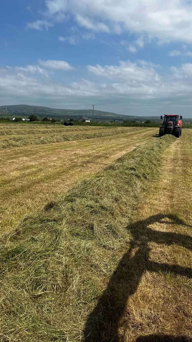 Haylage / Silage - Image 2