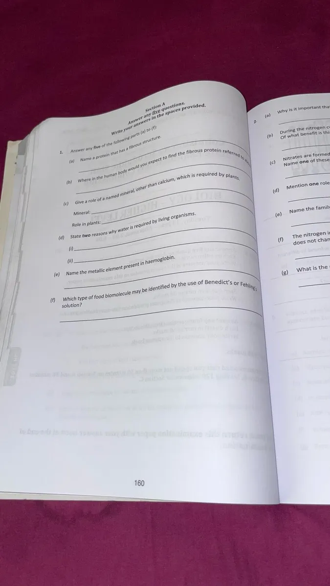 Leaving cert biology work book - Image 2