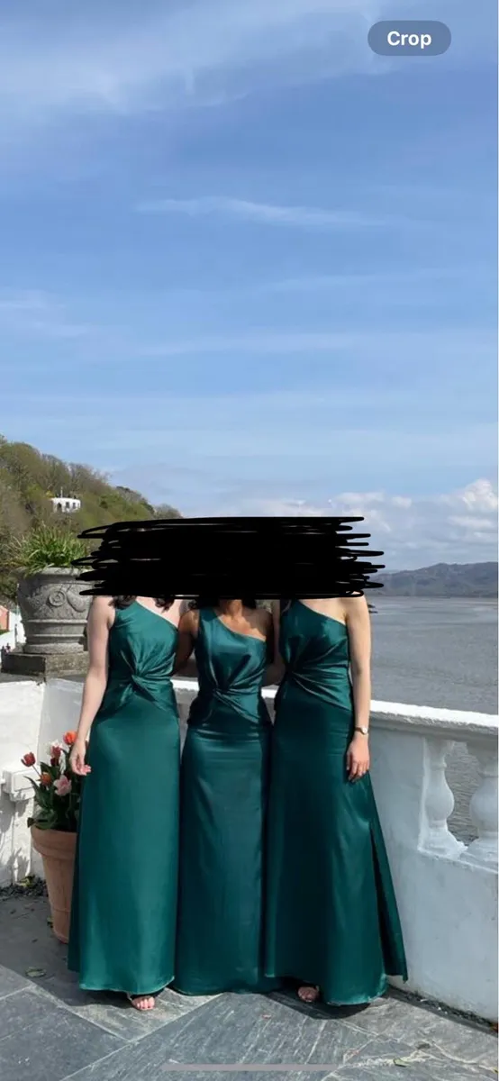 Wedding guest / bridesmaid dress - Image 2