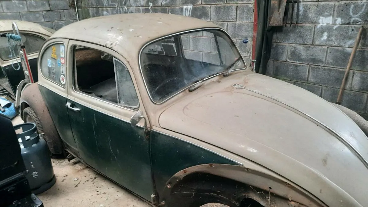 Volkswagen beetle - Image 2
