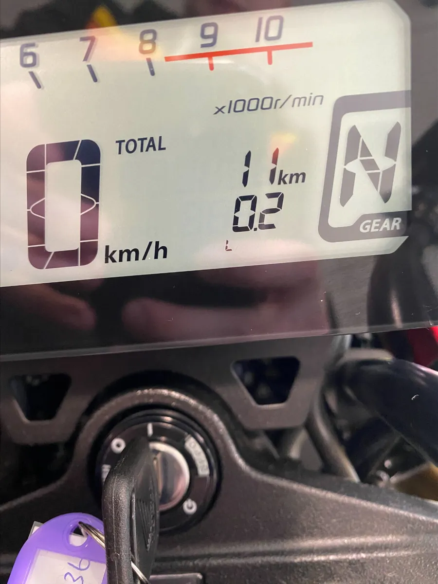 Honda MSX125 *Ex Demo* - Image 4