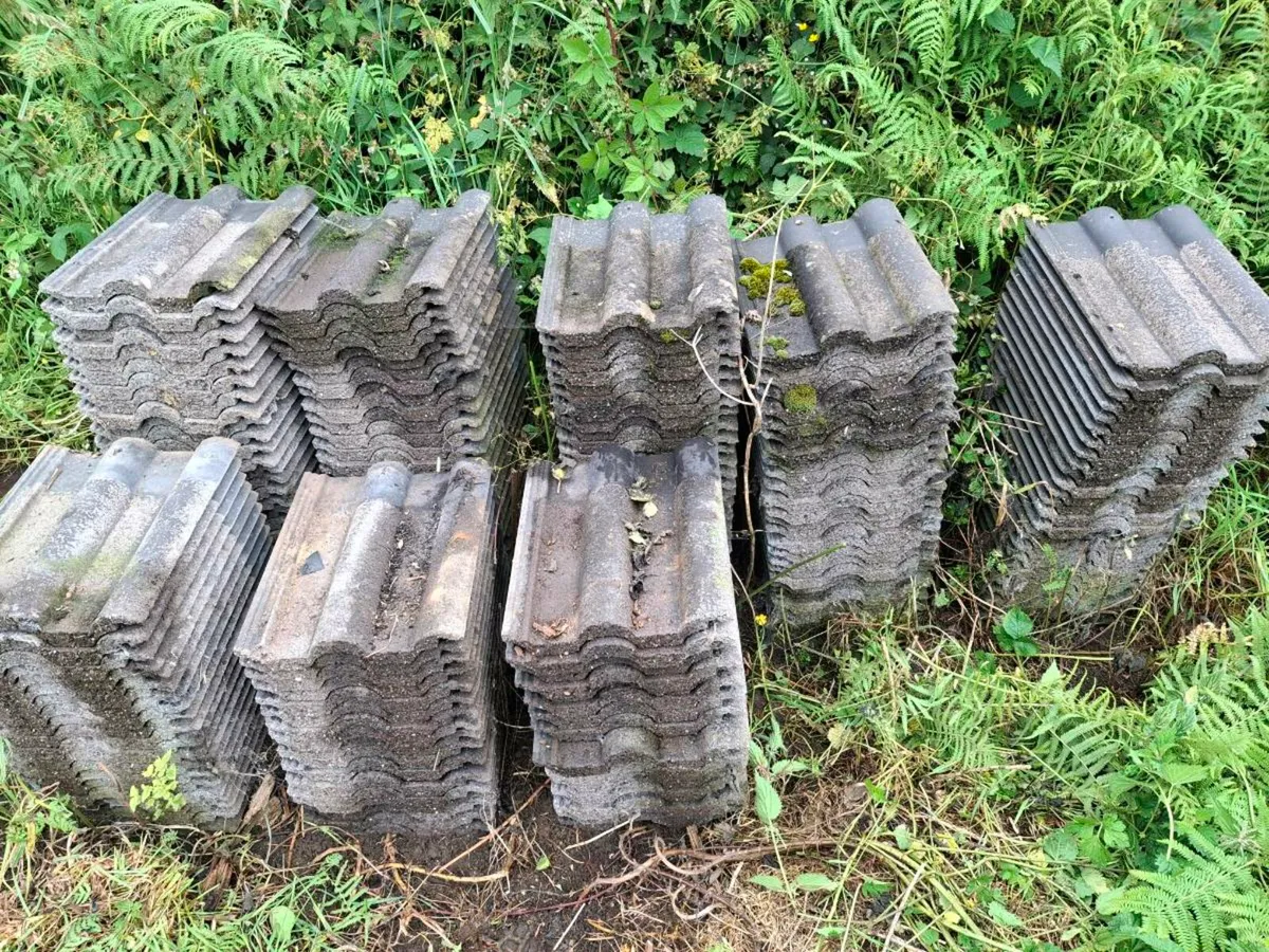 Concrete roof tiles - Image 1