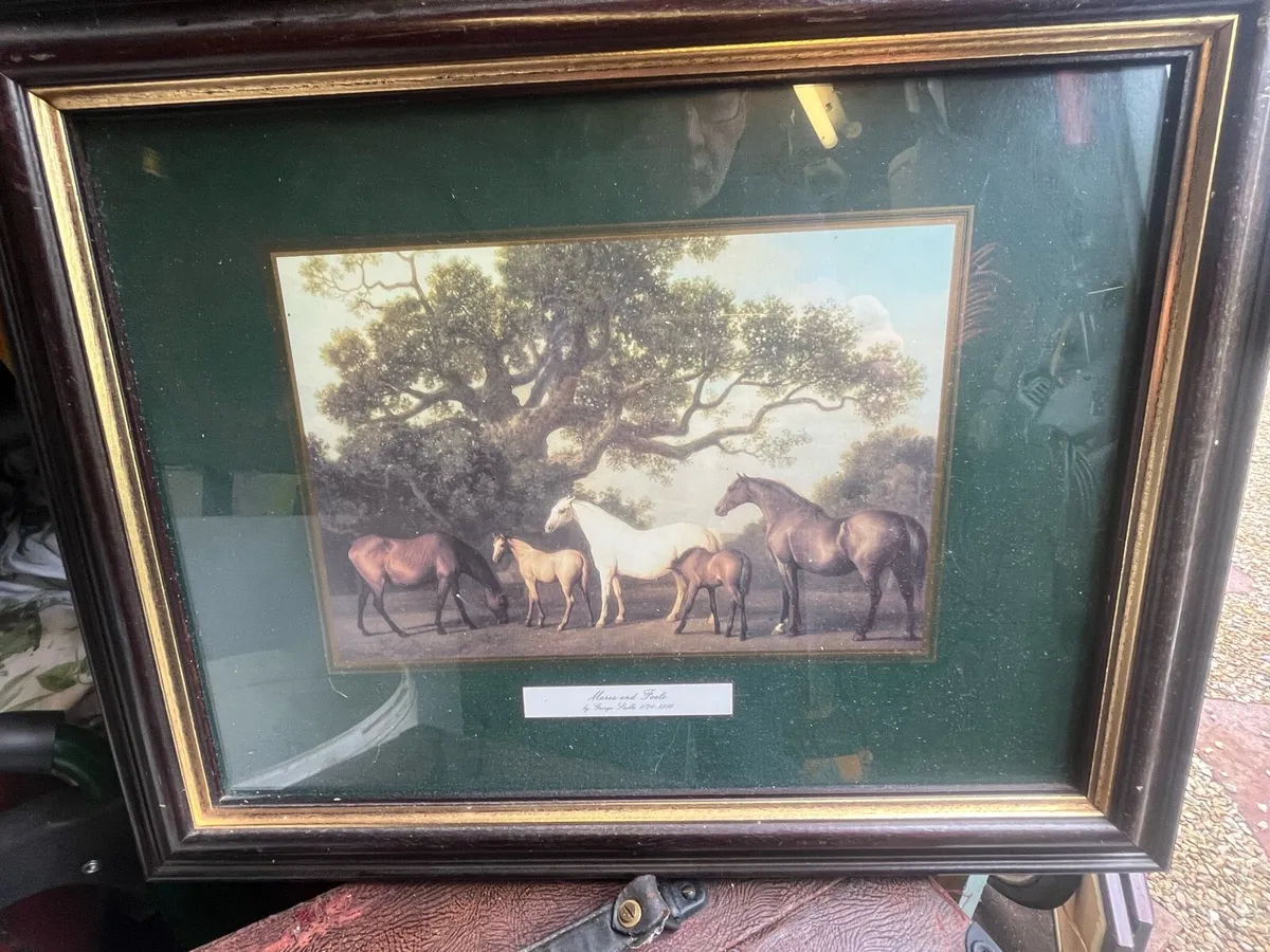 Vintage “Horses” Framed Prints - Image 4