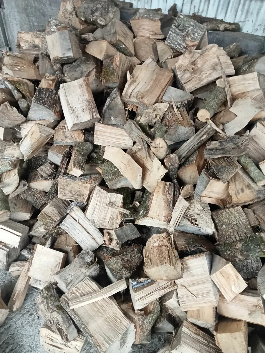 Firewood - Image 1