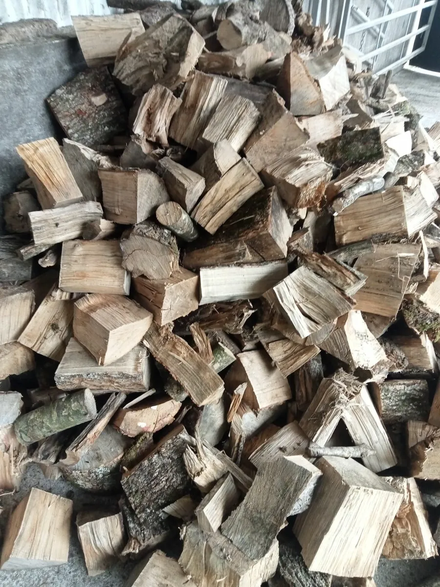 Firewood - Image 2