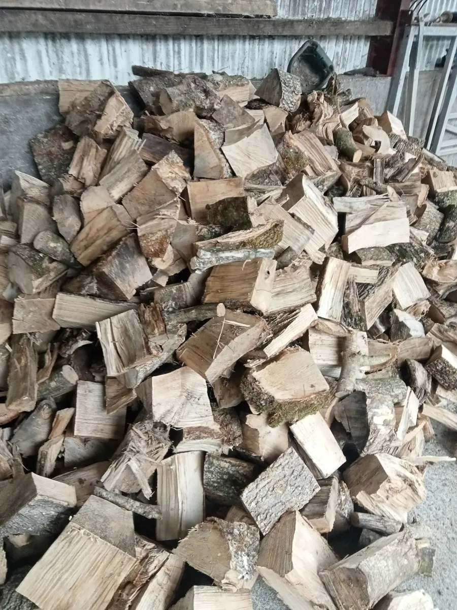 Firewood - Image 3