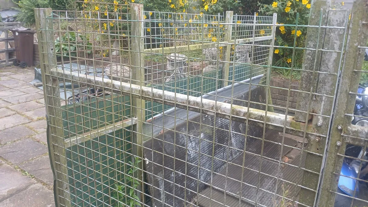 Dog run - Image 1