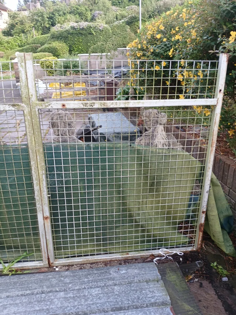 Dog run - Image 2