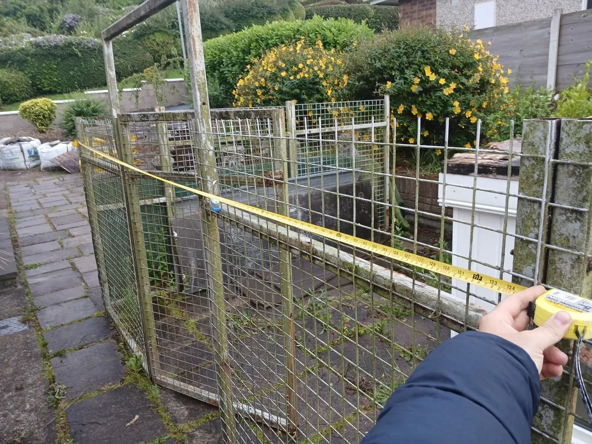 Dog run - Image 3