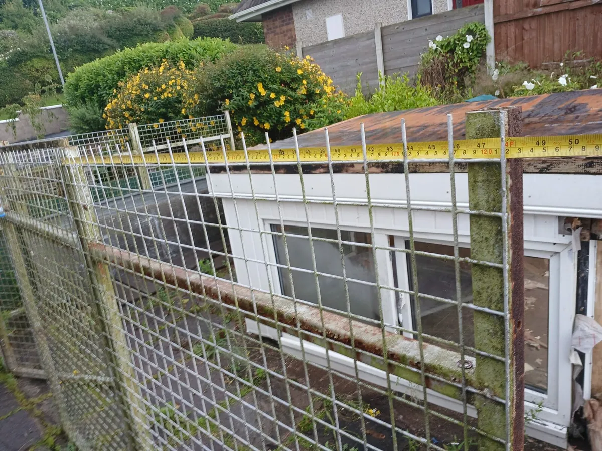 Dog run - Image 4