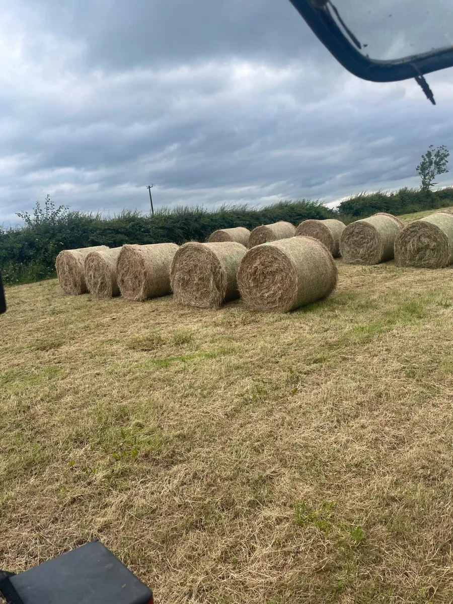 Hay for sale