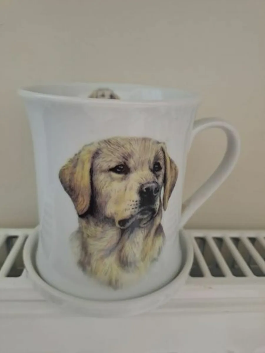 Mug and Coaster set The Leonardo Collection - Image 1