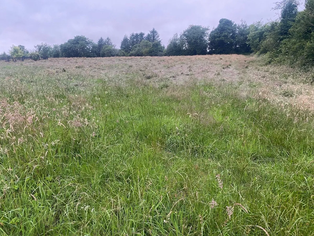Round Bales