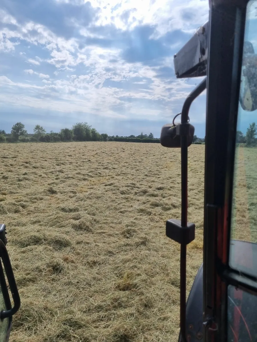 Hay - Image 2