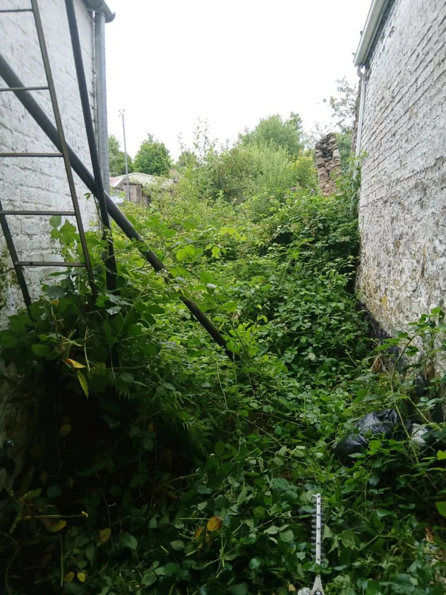 Garden maintenance services - Image 1