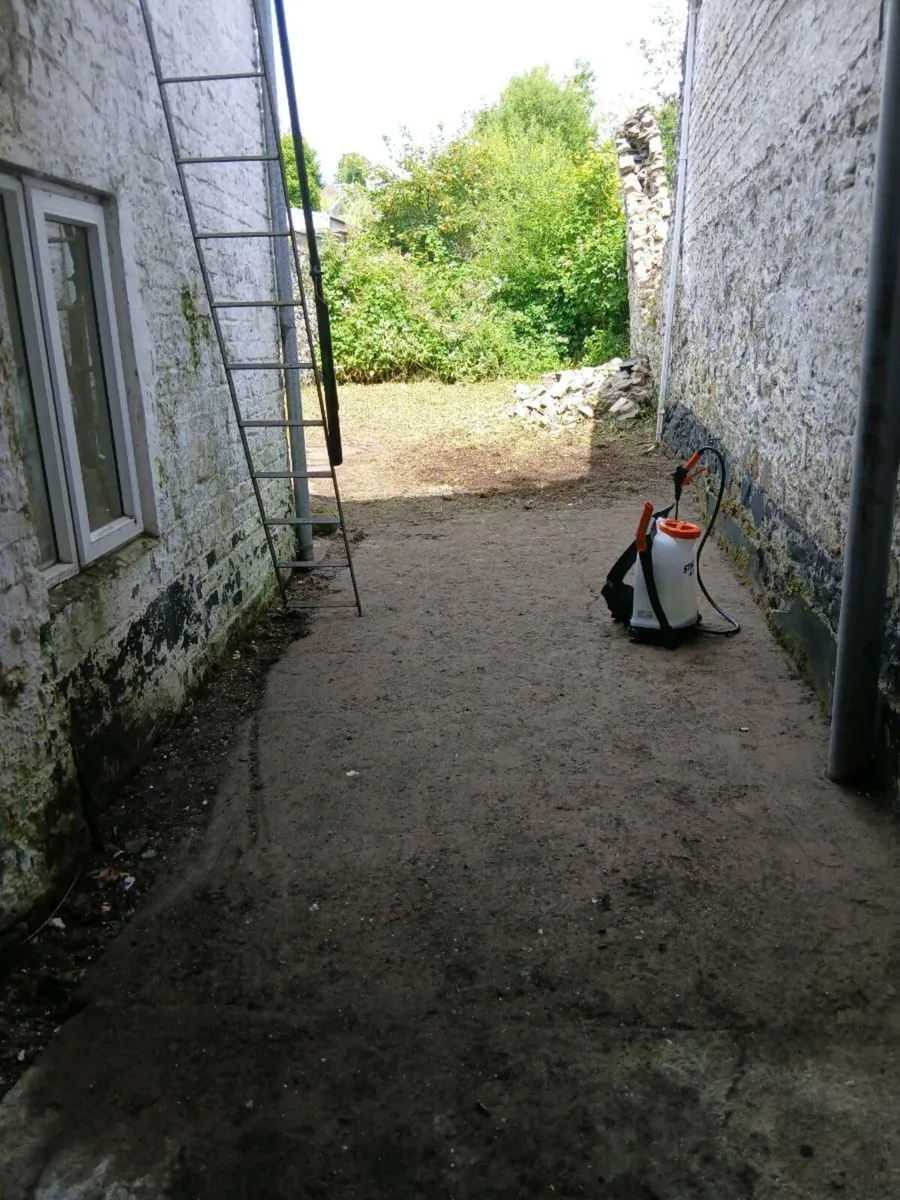 Garden maintenance services - Image 2