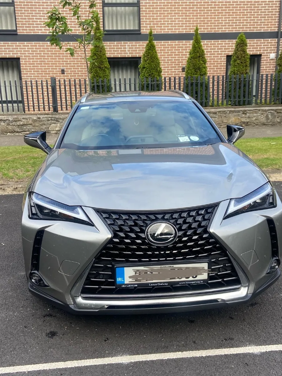 Lexus UX250H - Image 1