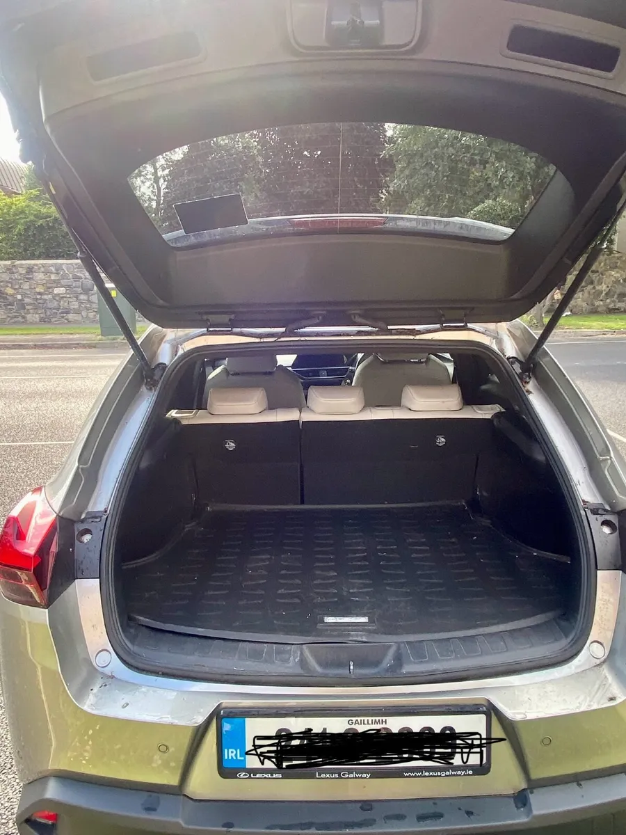 Lexus UX250H - Image 3