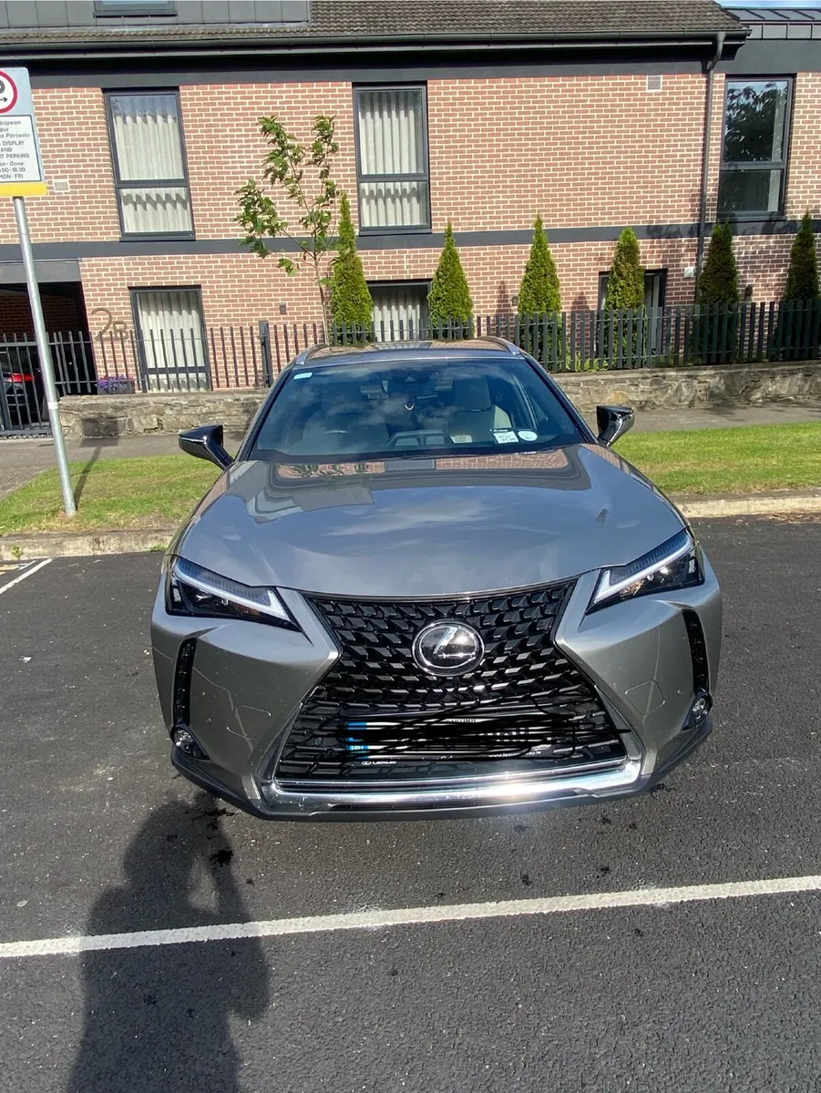 Lexus UX250H - Image 4