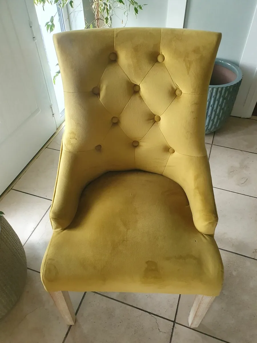Dining room chairs - Image 1