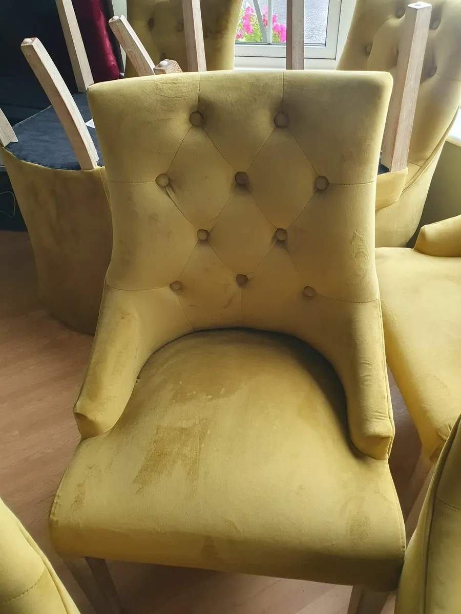 Dining room chairs - Image 2
