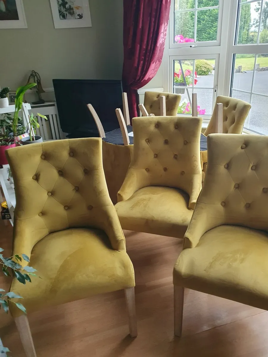 Dining room chairs - Image 3