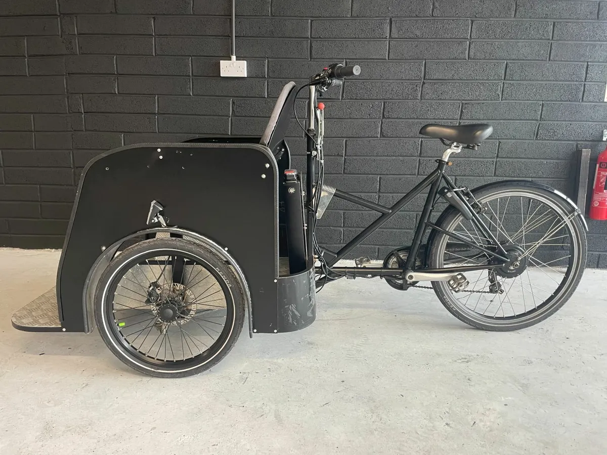 Nihola Electric Trishaw Bike - Image 3