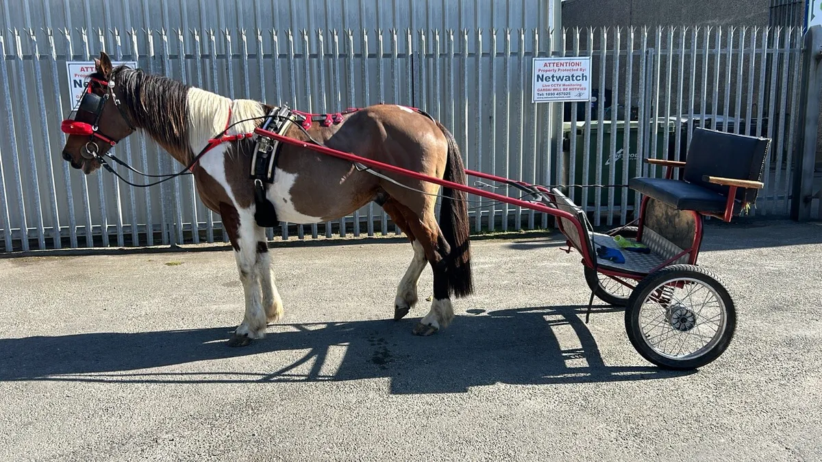 Road cart and quick hitch harness