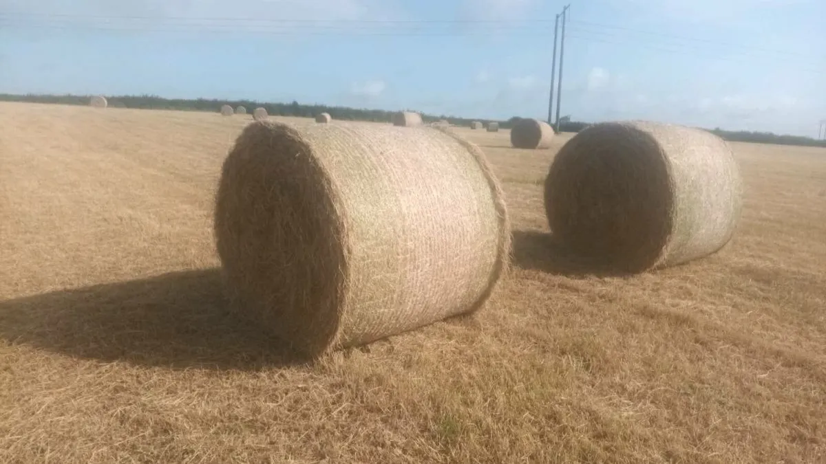 Hay bales - Image 3