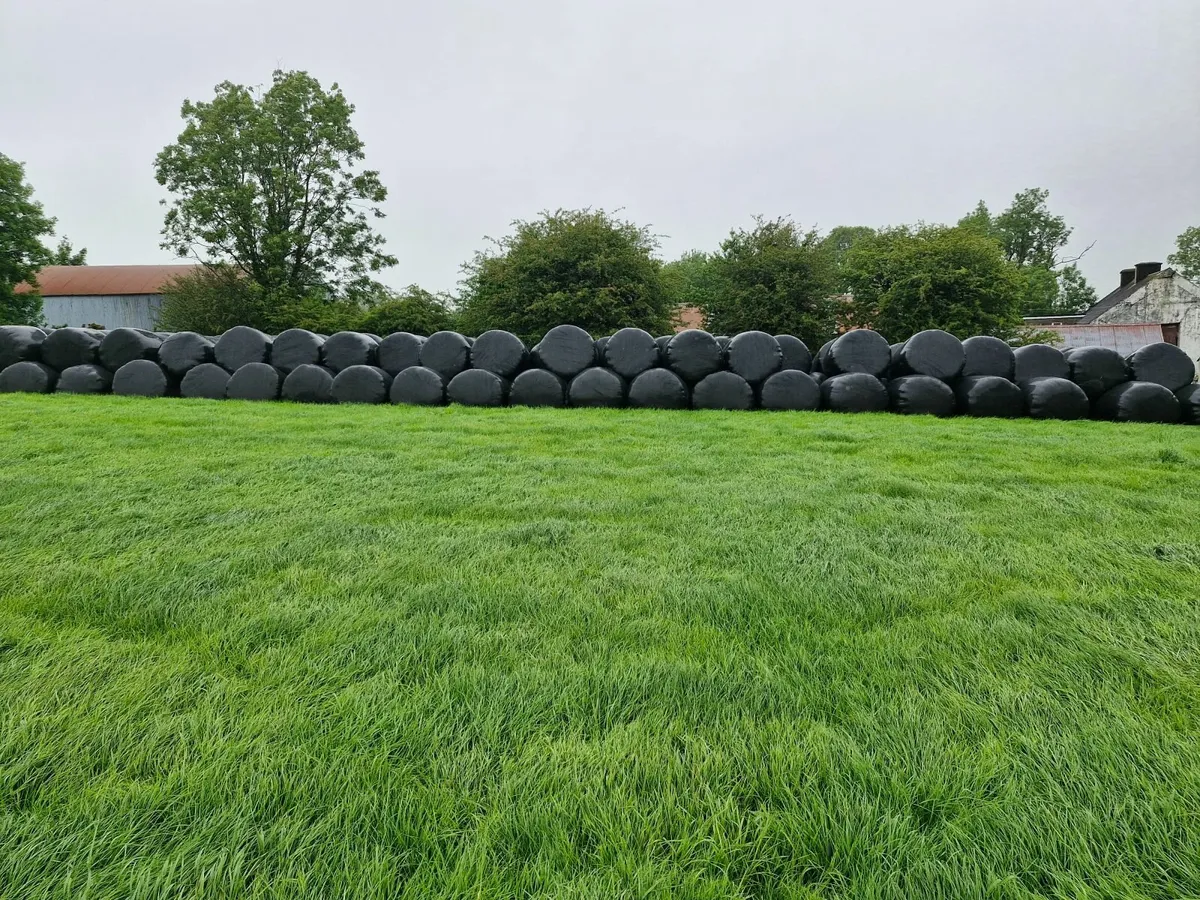 Silage bales - Image 3