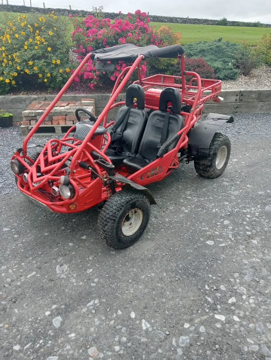 Buggy - Image 2