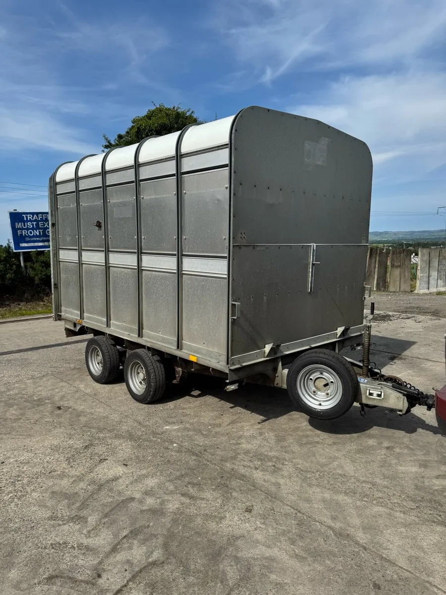 10x6 IFor Williams cattle trailer - Image 1