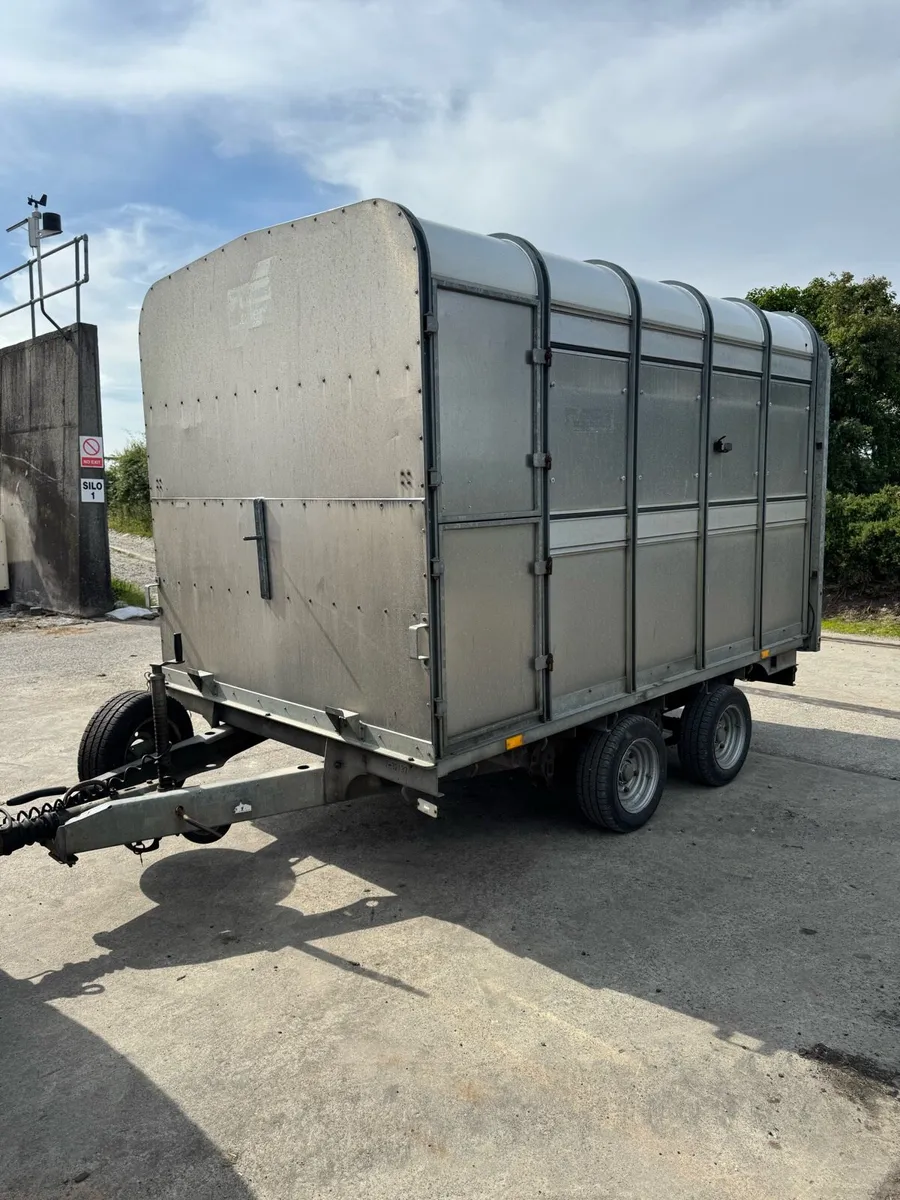10x6 IFor Williams cattle trailer - Image 2