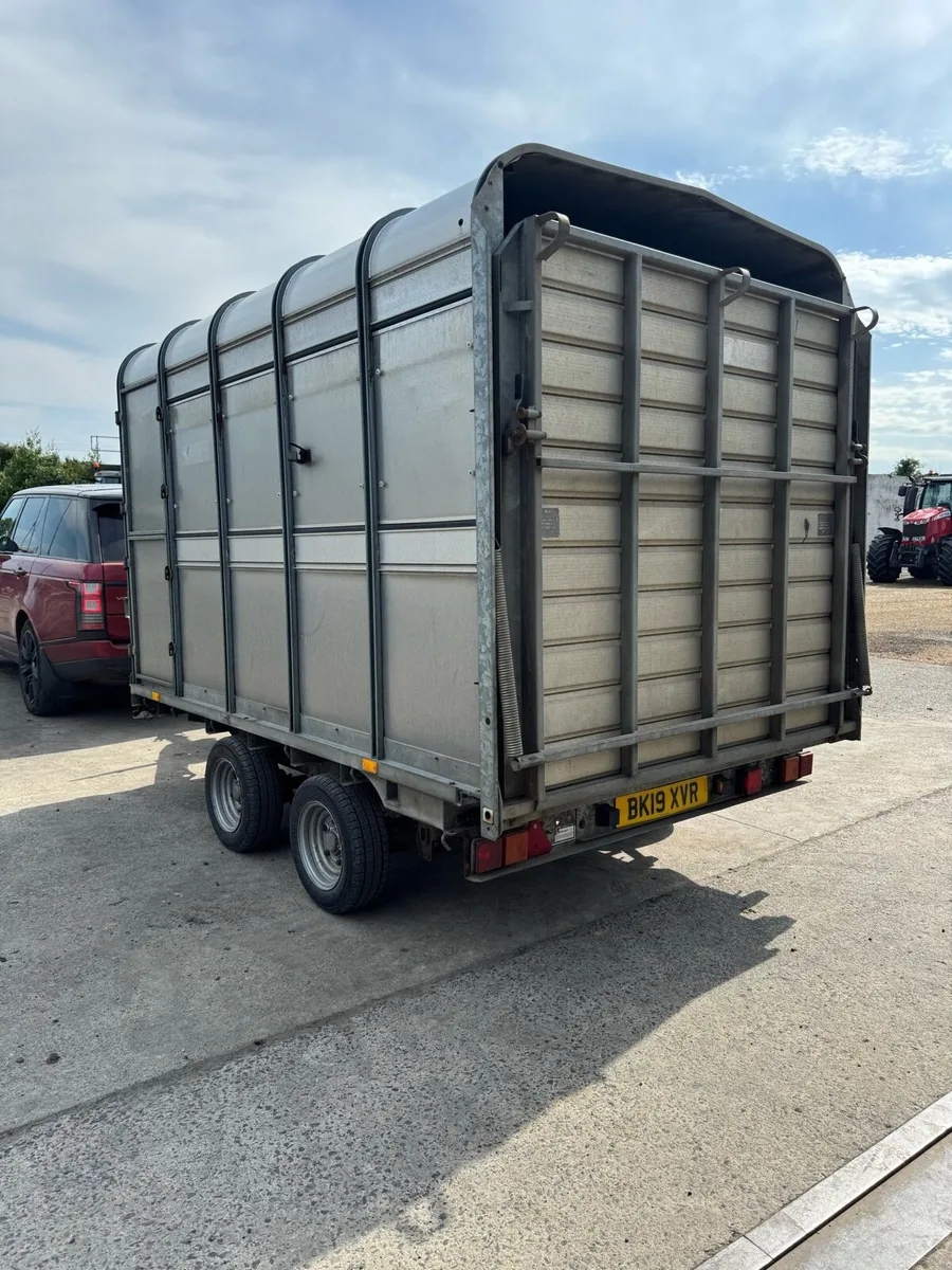 10x6 IFor Williams cattle trailer - Image 3