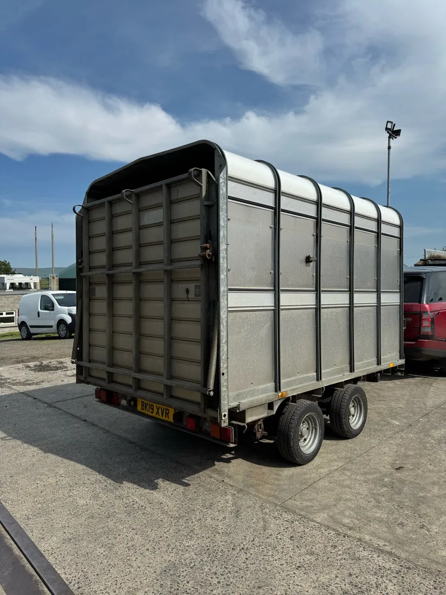 10x6 IFor Williams cattle trailer - Image 4