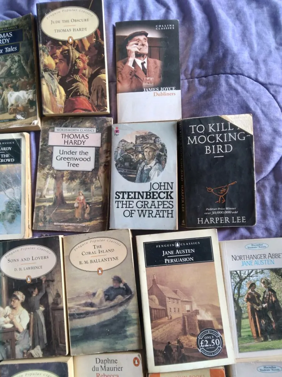 22 Classic Literature Novels - Image 3