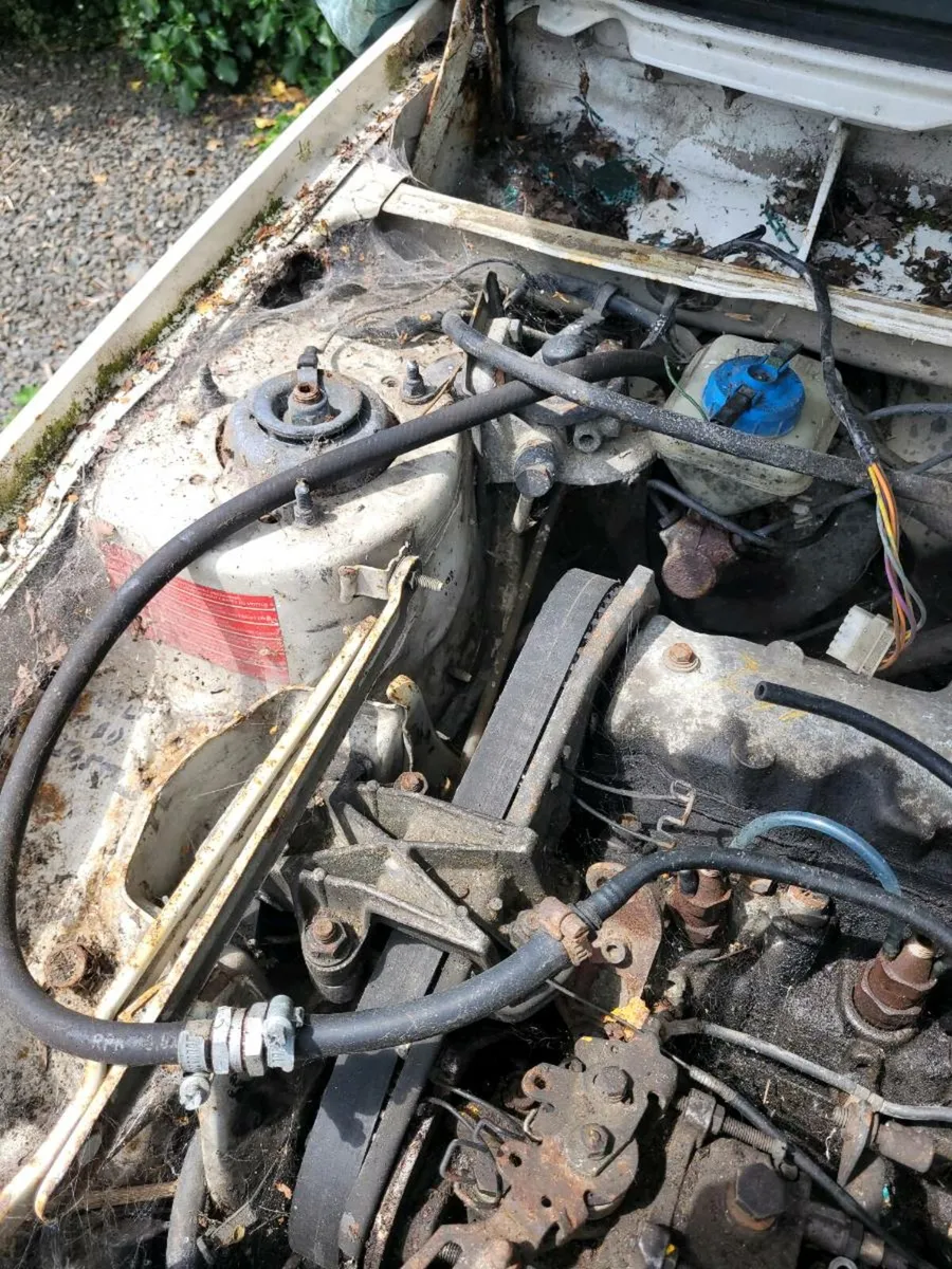 Peugeot 205 - Image 3