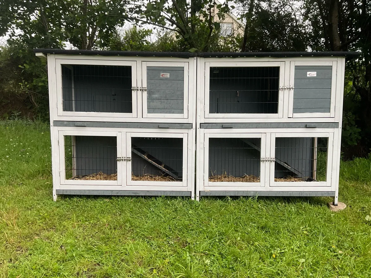 Rabbit & guinea pig hutch - Image 2