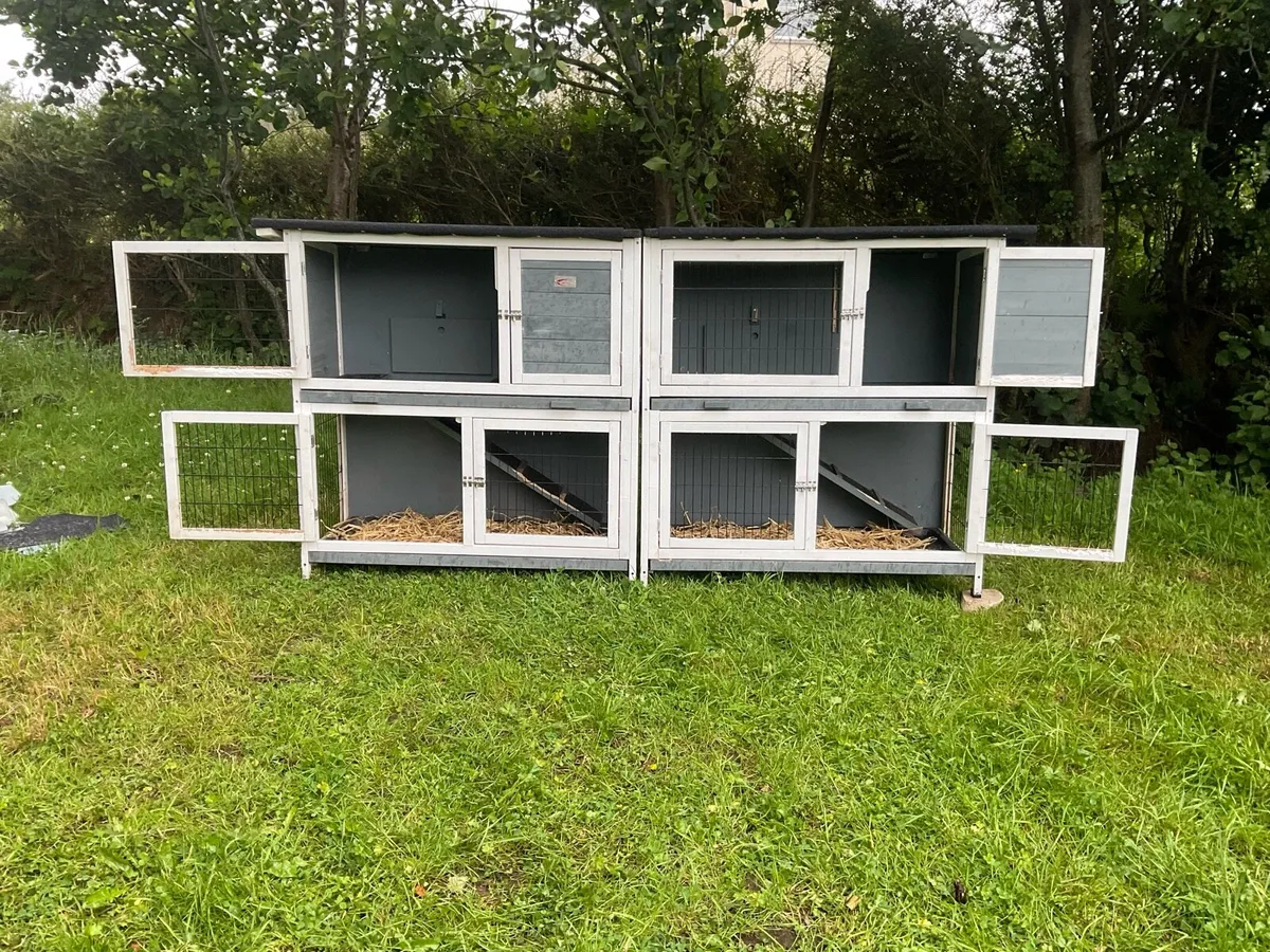 Rabbit & guinea pig hutch - Image 3