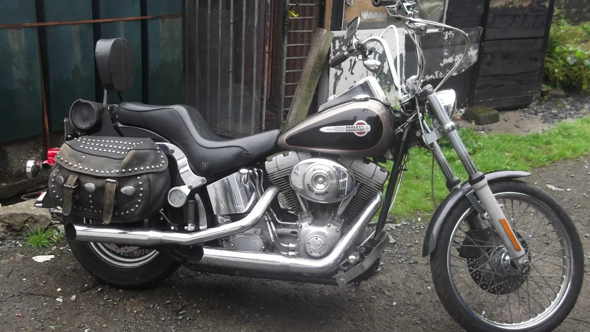 HARLEY DAVIDSON  2005 softail .TRADE UP - Image 1