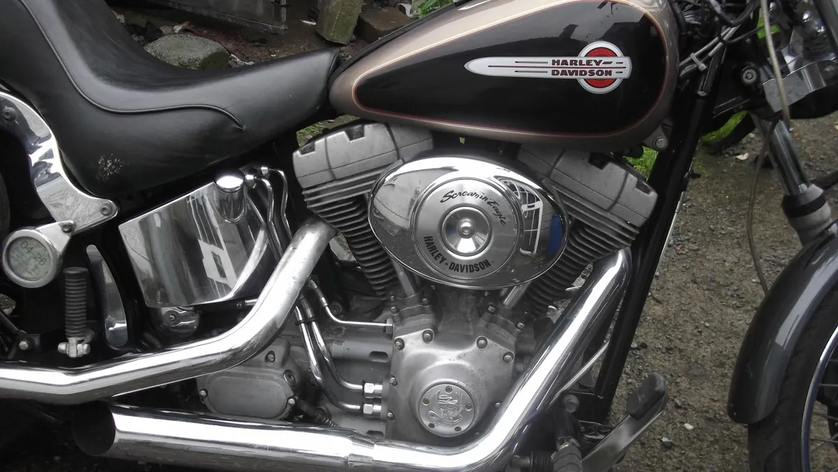 HARLEY DAVIDSON  2005 softail .TRADE UP - Image 2