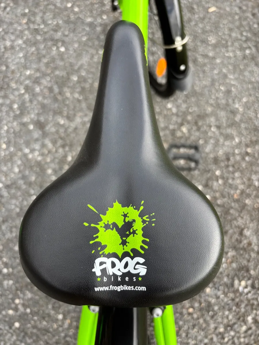 Frog 69 Bike - Image 4