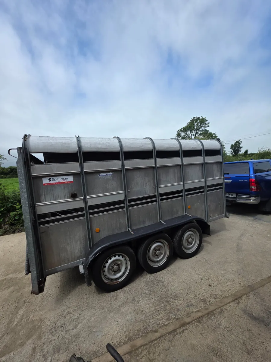 12ft tri axel ifor Williams livestock trailer - Image 4