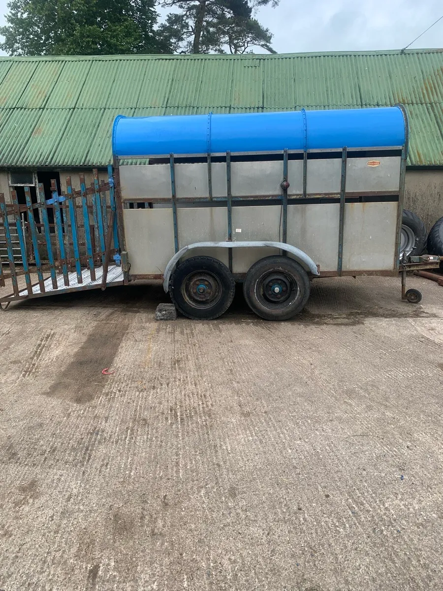 Cattle Trailer - Image 4