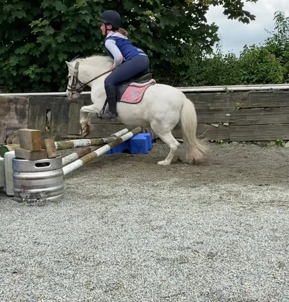 SAFE, STEADY STARTER/FIRST-RIDDEN PONY - Image 4